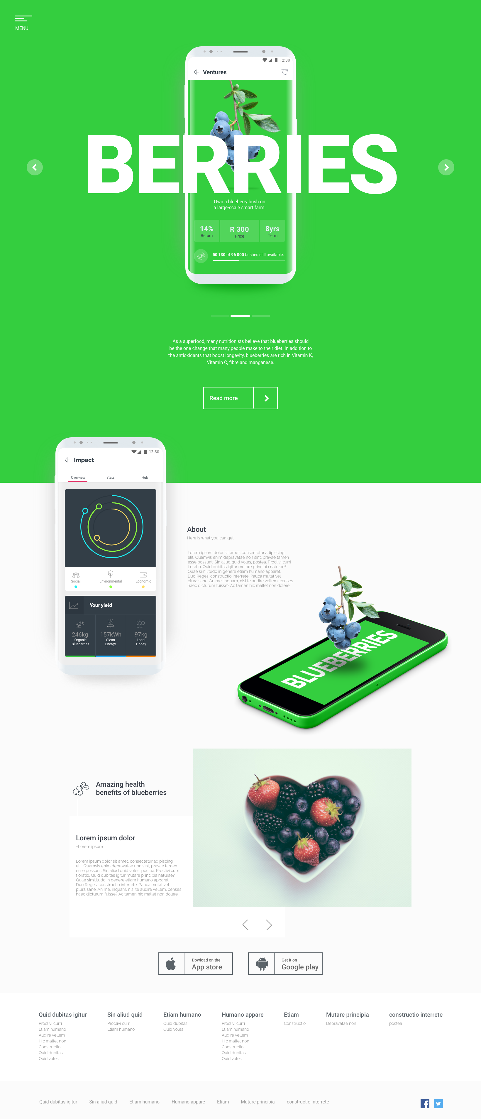 Blueberries investment product screens